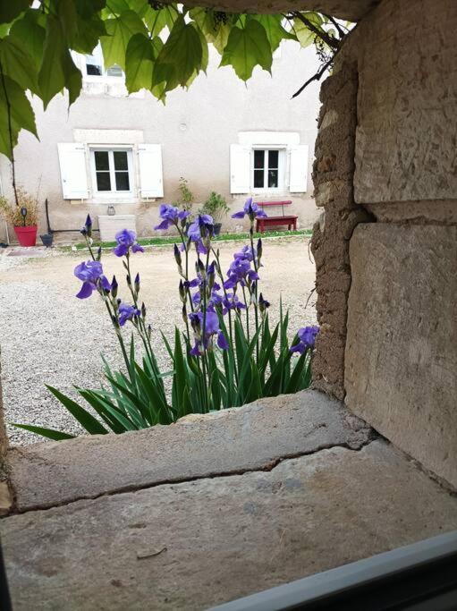 Holiday home De Charme - 3 Chambres, 5 Lits - De 4 A 7 Personnes *